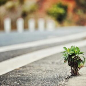 boundary lines on the road